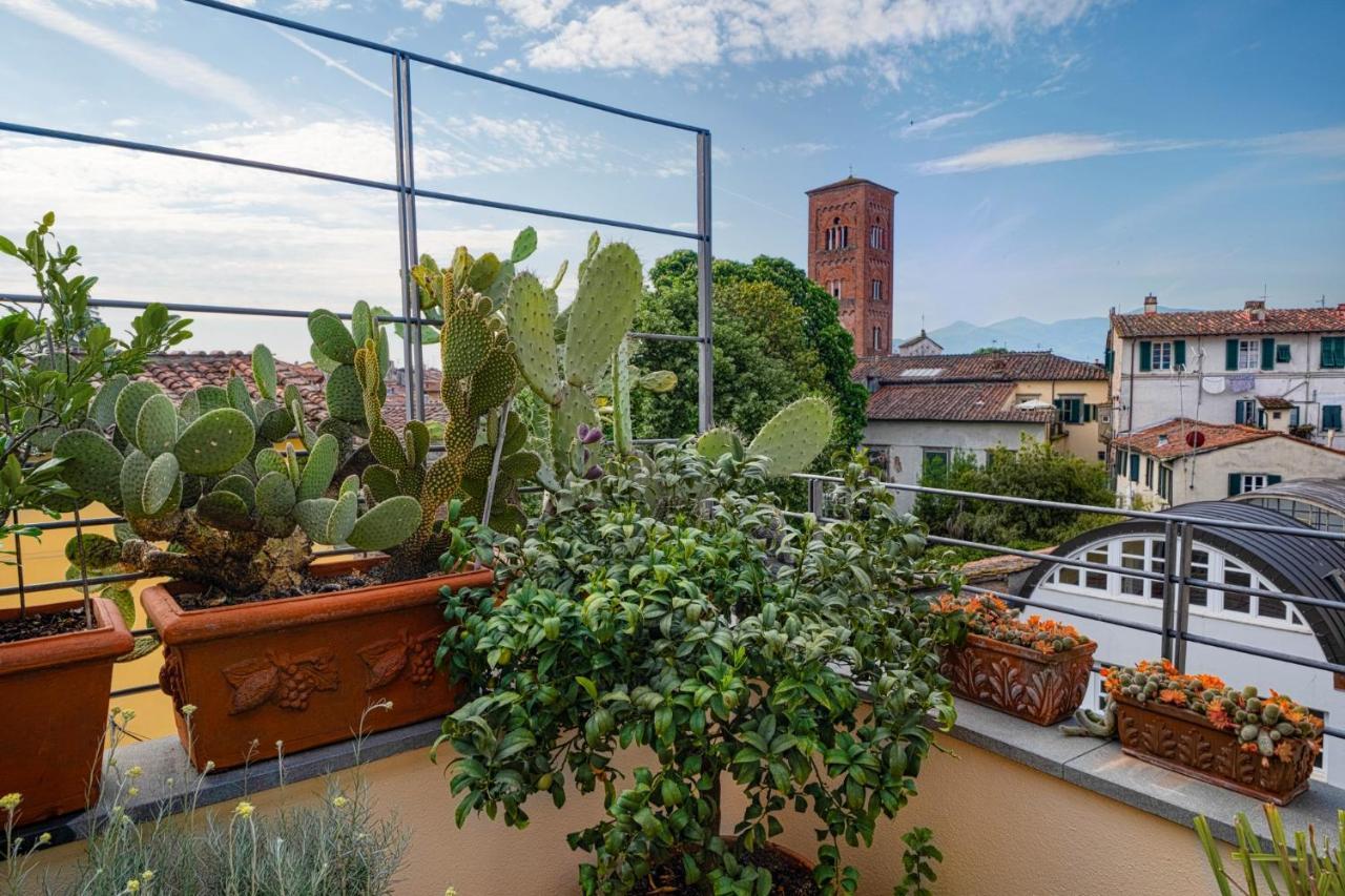 My Guesthouse Lucca Eksteriør billede